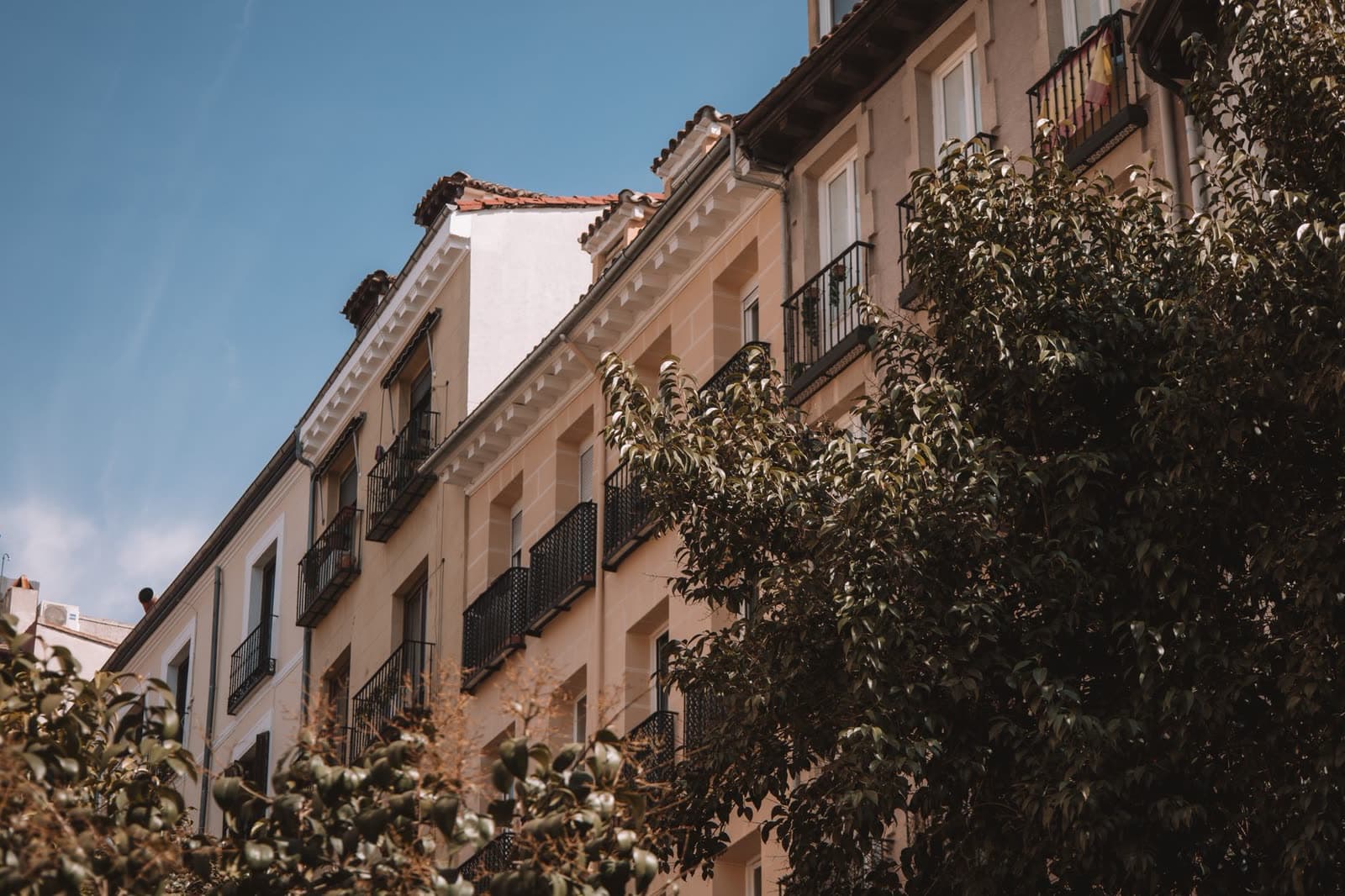 Fachadas de viviendas con balcones de forja vistas a contrapicado entre árboles